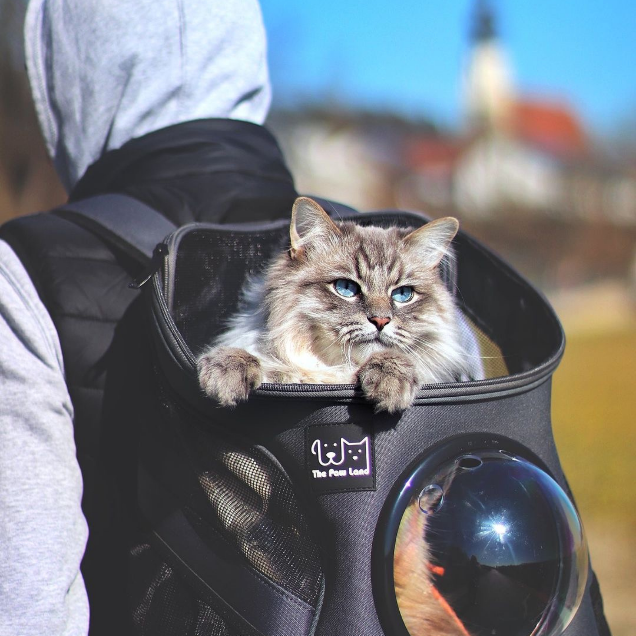 Pet Bubble Backpack